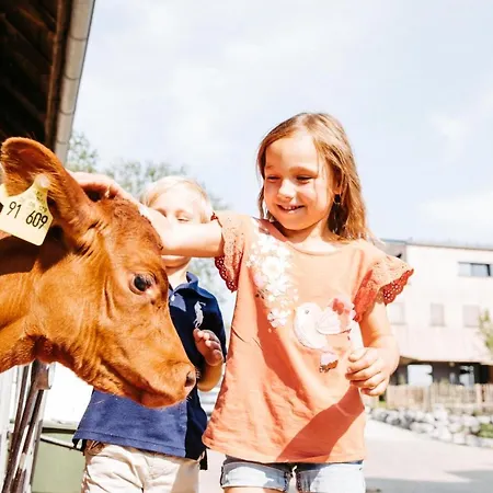 Διαμέρισμα Elfriede