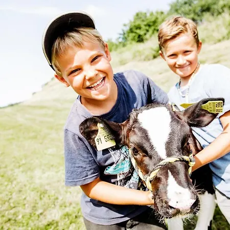 Διαμέρισμα Elfriede